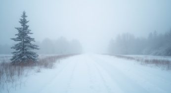 Tisdagens väder, 11 februari